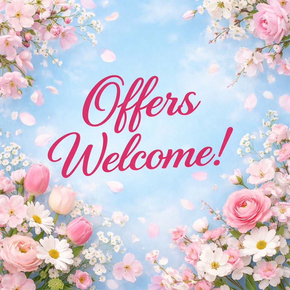 Reasonable Offers Welcome!